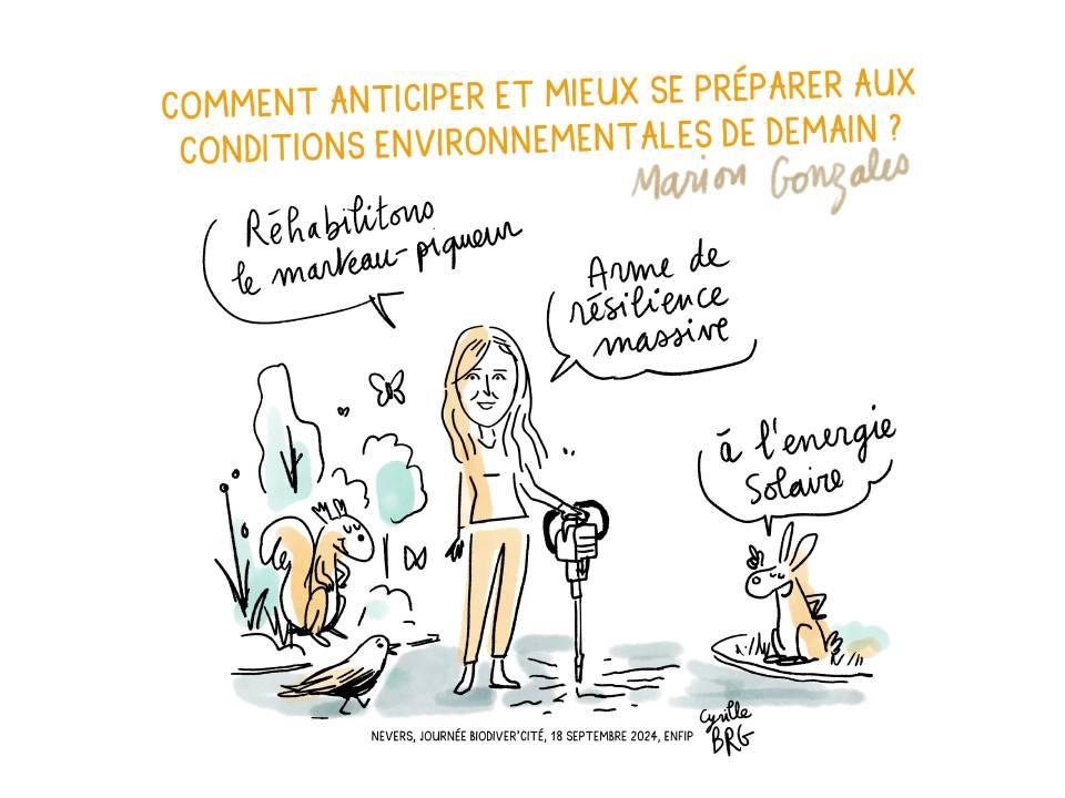 © Ville de Nevers